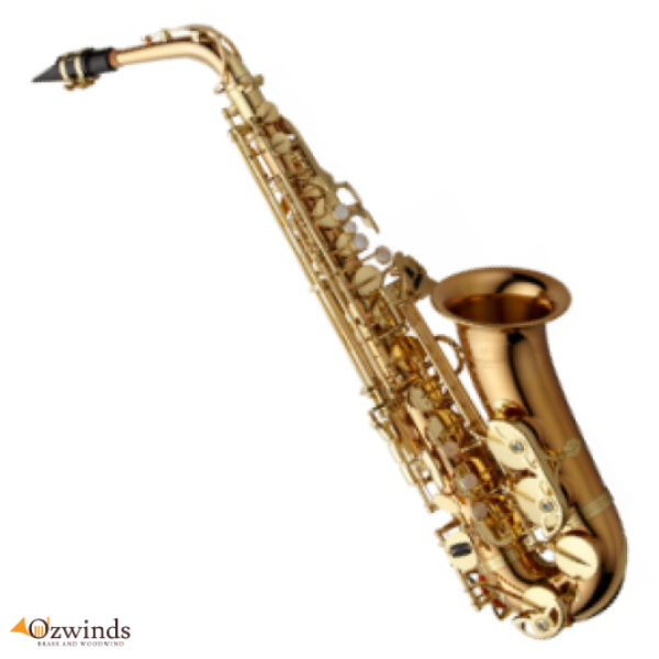 Yanagisawa A-WO2 Bronze Professional Alto Saxophone